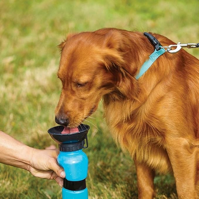 HAVNOM Portable Pet Water Bottle with Built-In Bowl | Leak-Proof Travel Sipper for Dogs & Cats