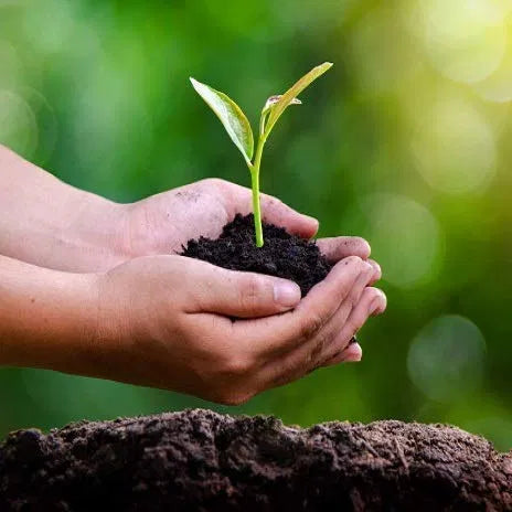 Vermicompost Fertilizer for Plants (Pack of 1)
