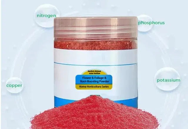 Root Boosting Powder 400 gm Pack of 2